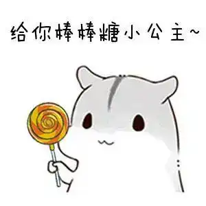 点击就学硬核情话,金昌俊男靓女必备