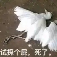 试探表情包