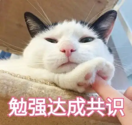 对这种小喵的表情包毫无抵抗力