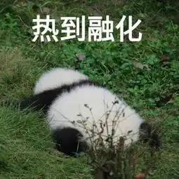 在最火的天气,有人想约你做一件最不怕上火的事儿