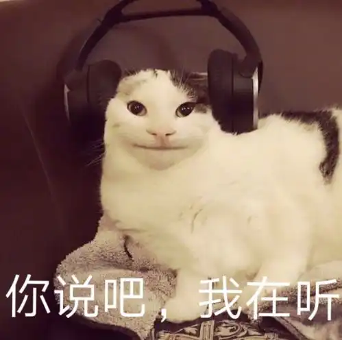 这些百元内有线耳机,是真的香