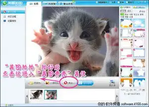 太可爱了美图拍拍捕捉宠物超萌表情