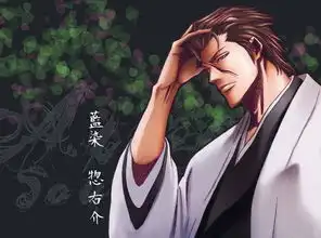 死神中那些没有卍开的角色,是不想用还是不会呢