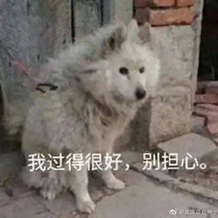 疫情结束后,一定要做的20件小事