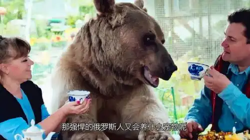 瞧瞧俄罗斯人养的宠物,再看我们养的,简直输得一败涂地