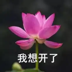 每68个孩子,就有1个自闭症快自查,娃有这10个表现可能中招
