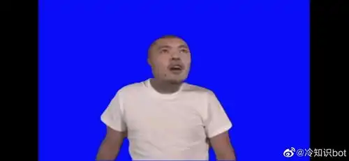 奇怪的知识增加了mur猫表情包
