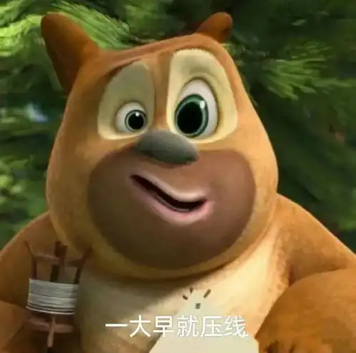 这个驾照我是非学不可吗