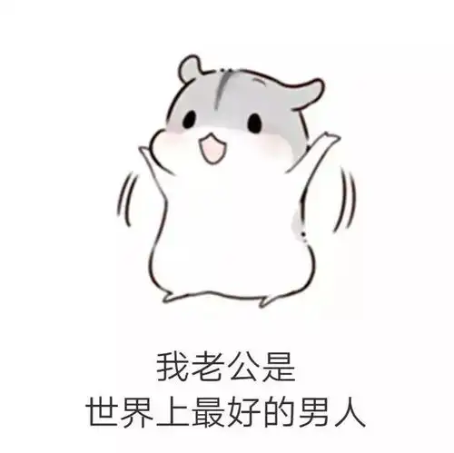 仓鼠套路表情包男朋友生气了该怎么哄