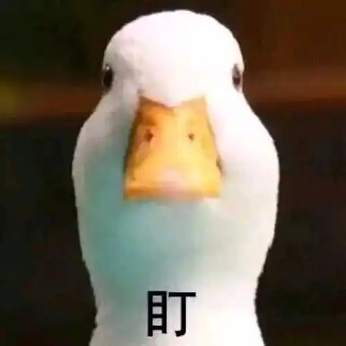 今天也要开心鸭
