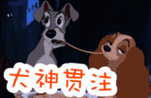 拜年必备祝福语表情包,速速收藏