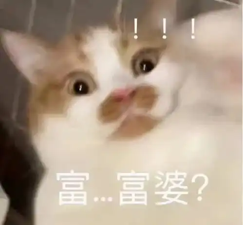 连韩雪都忍不住吐槽的圈内贵族这是吹风机该有的用途