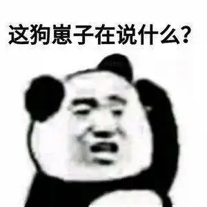 熊猫头表情包i出来聊天啊我介绍女朋友给你