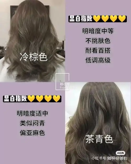 请问各位集美黄黑皮女孩染发适合什么颜色
