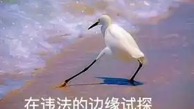 彩虹6号个人集锦第7期我fuze今天要瞪死在座的各位