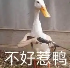 你够贱我喜欢表情包下载猫咪表情包合集高清无水印版软件下载