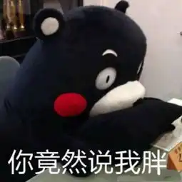 搞笑表情包熊本熊装逼可爱