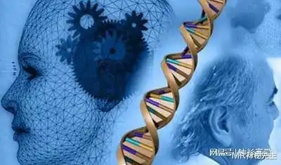 考古新发现一坨5700年前的口香糖,保留着少女的完整dna