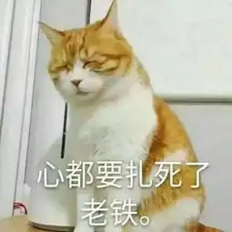 角度刁钻,这位魔兽世界玩家玩不过对手就玩服务器