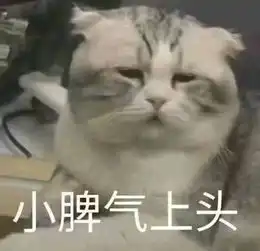 阴阳师玉藻前皮肤上热搜,这3款皮肤你怎么看