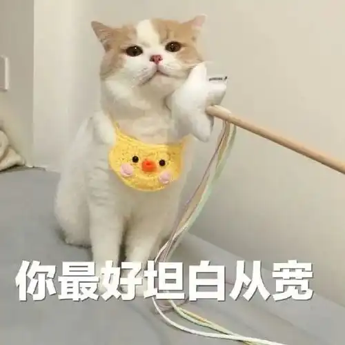 铁骑救援队长遇交警,还说不要自己人搞自己人
