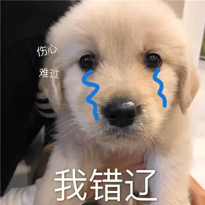 胡图图超可爱的搞怪暴走表情包去追求有结果的人和事
