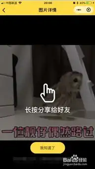 如何用微信小程序闪萌表情搜索gif表情