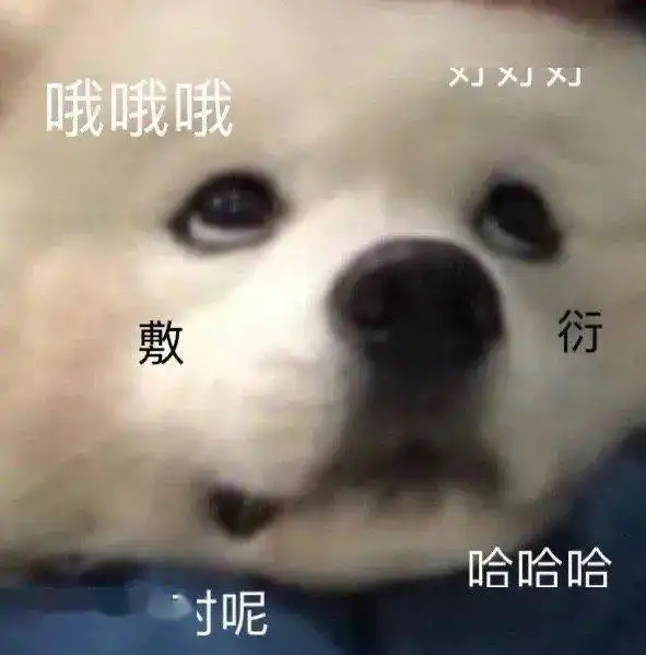 分享一些狗狗实用表情包头像是我,不满意