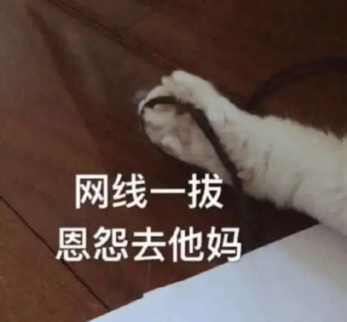 表情萌宠表情包还不发消息给我腾讯网qq.com表情