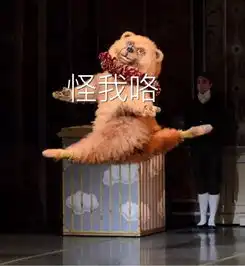 芭蕾舞团圣诞演出秒变表情包,足够笑到明年