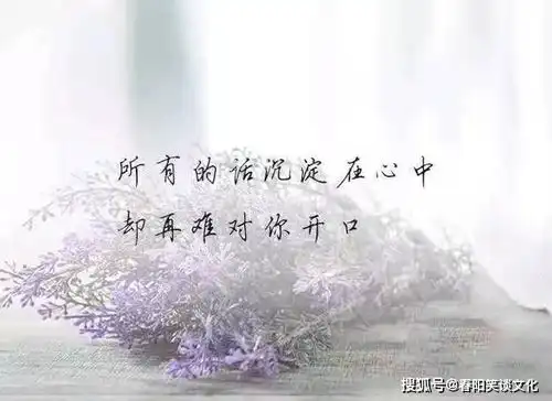 比较伤感痛心的句子,句句有内涵,总有一句让你陷入回忆