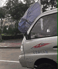 这是林志玲为啥看着越来越像日本贵妇了