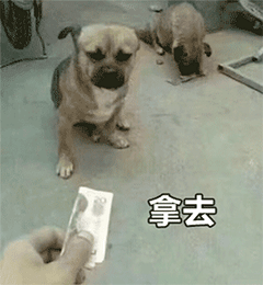在吗借我20喝奶茶海绵宝宝借钱套路最全合集