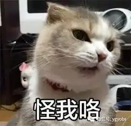 忘了ai威胁论吧威胁人类的分明是这些人工智障