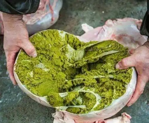 什么食物比鲱鱼罐头还要臭