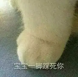 e句话看天下入职三天就宣布怀孕,你让所有未生育的女同胞还要不要找工作了