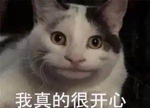 ibs校园采访第五弹丨这个七夕节,你.....我热爱学习
