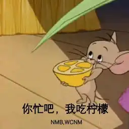 英雄联盟vn至臻皮肤来啦玩无限乱斗还送皮肤头像和代币