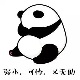 国际熊猫日何以解忧唯有滚滚表情包