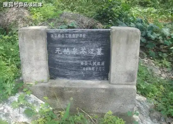 历史钩沉苏东坡儿子曾任延津公安局长