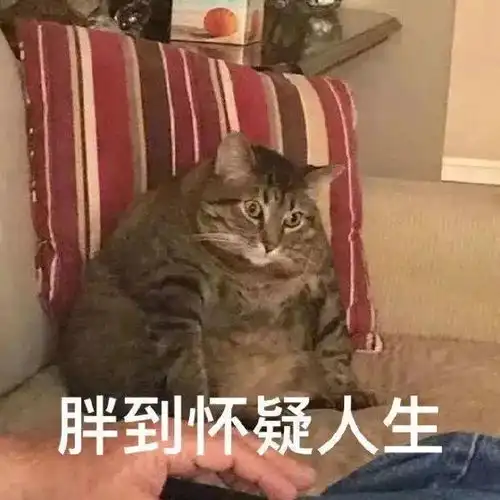 现代社交时代最伟大的发明表情包