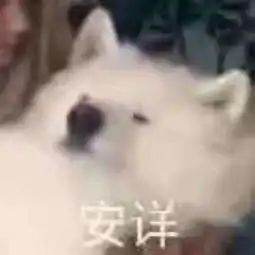 笑抱西瓜朝我砸的微博微博