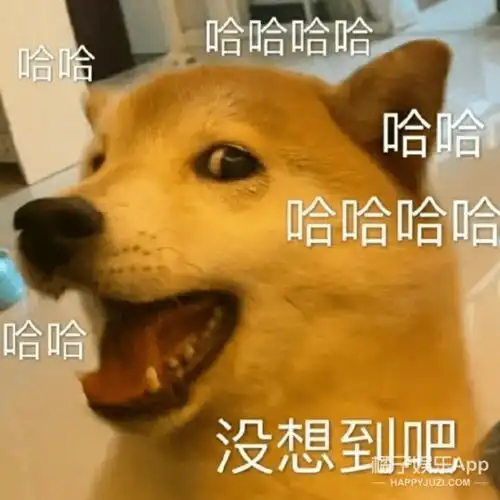 闹笑话的不止她一个