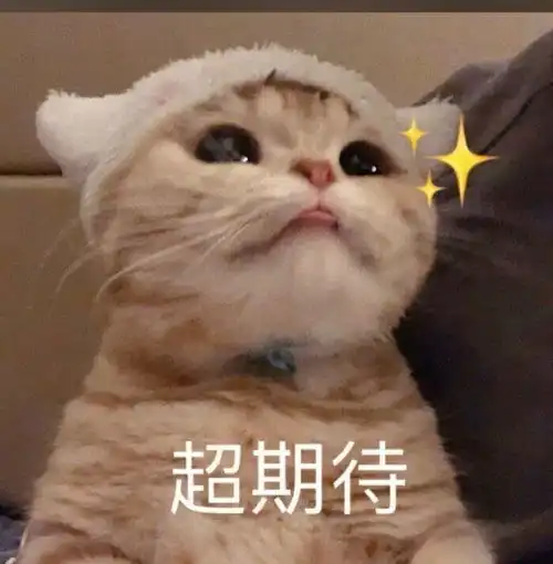 表情包不会说话就别说,ok吗