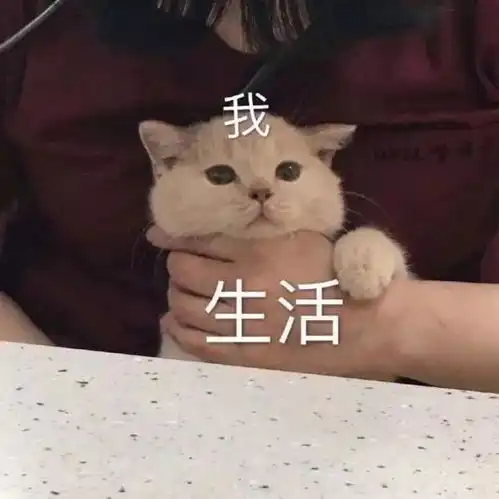 女朋友很可爱是什么体验原来是爱用高糊可爱表情包