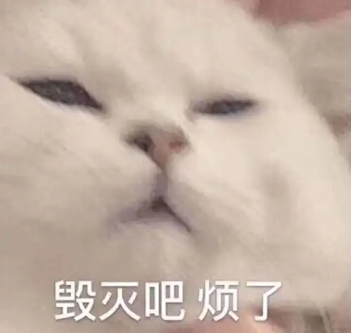 在华为体验店体验了别人放在那边充电的手机