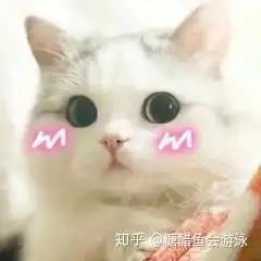 西安电子科技大学100天考研经历分享初试811复试9011