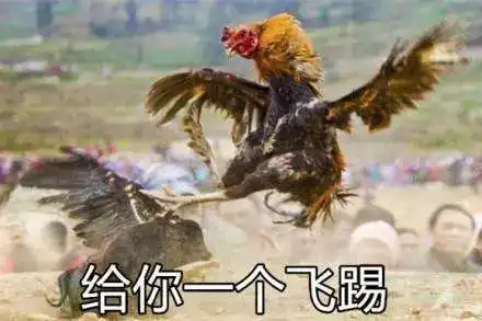 玉林这伙人专门抢屎还成立了公司这么重口味