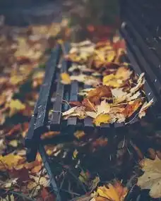 一天心情靠随和,一生幸福靠随缘