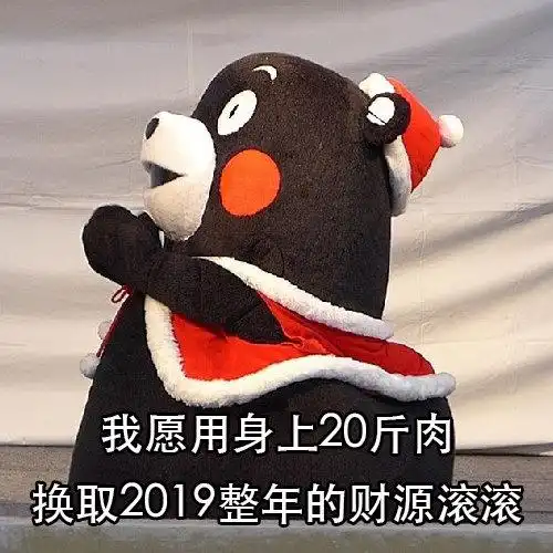 熊本熊表情包我愿用身上20斤肉换取2019整年的财源滚滚